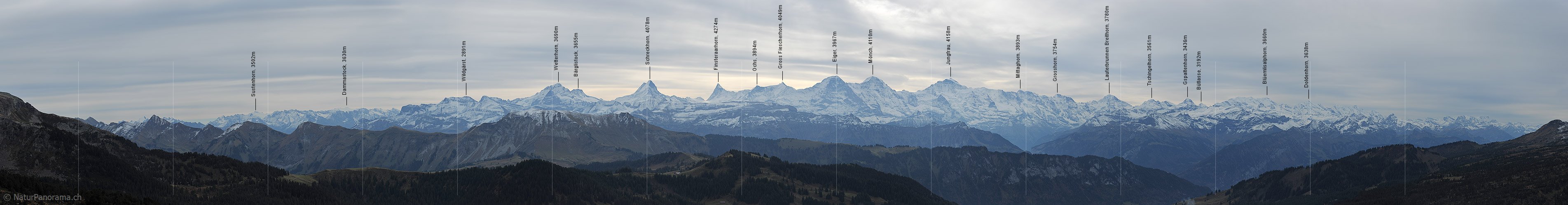 P013888: Panoramafoto Berner Alpen