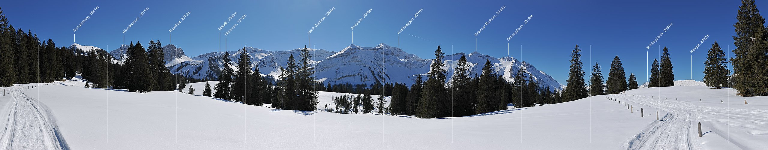 P014259: Panoramafoto Wald in winterlicher Berglandschaft