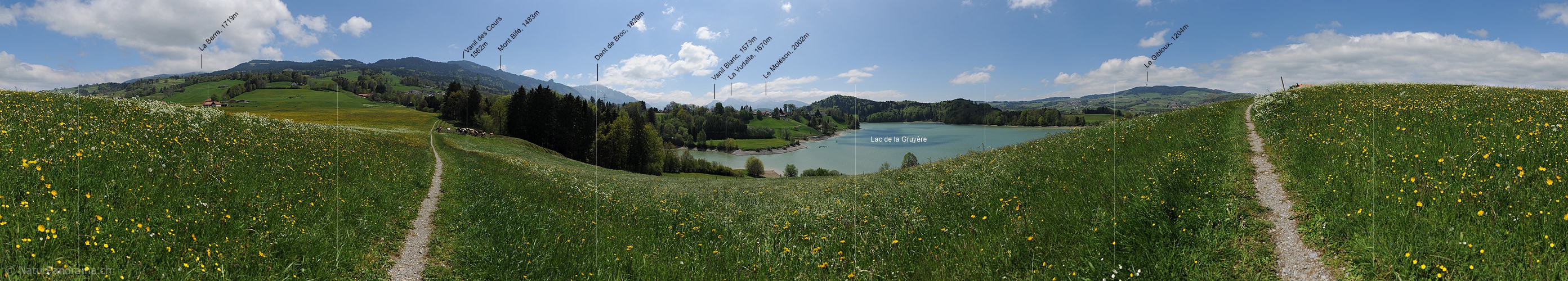 P014462: 360° Panoramafoto Lac de la Gruyère (Greyerzersee)