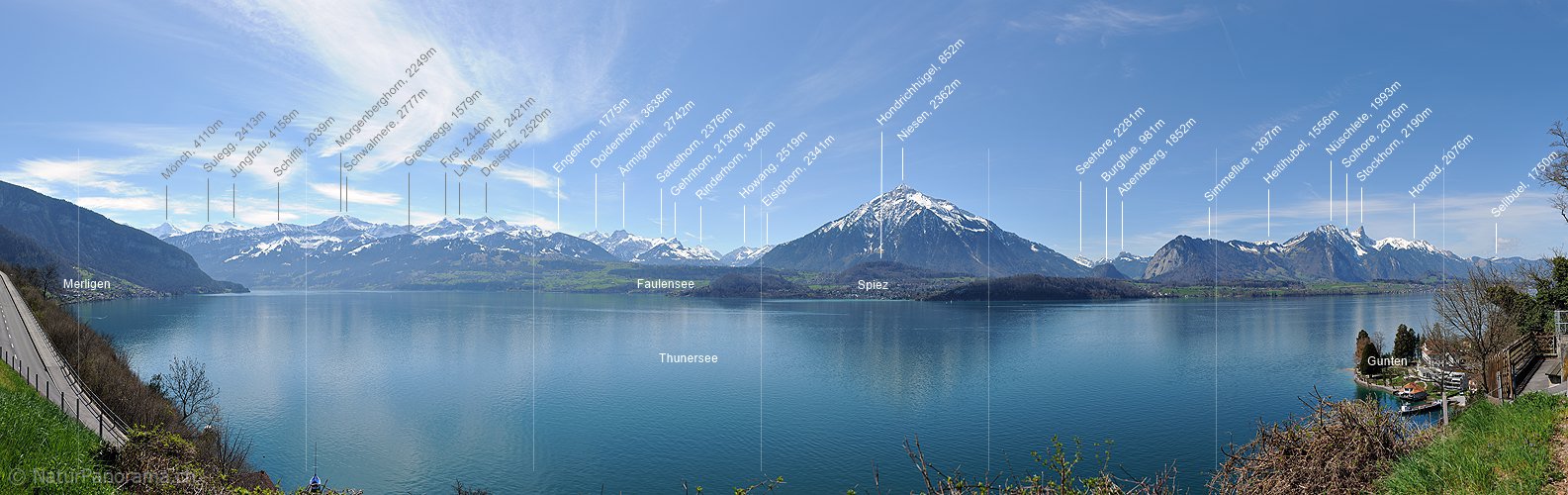 P015889: Panoramafoto Thunersee, Niesen und Stockhorn