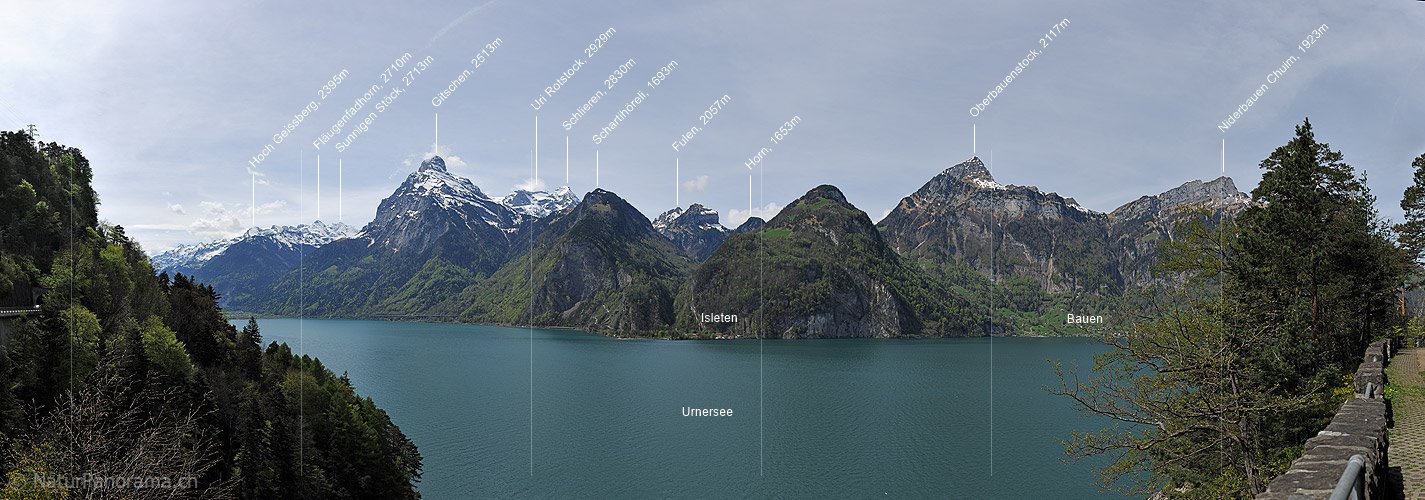 P016083: Panoramafoto Urnersee und Uri-Rotstock