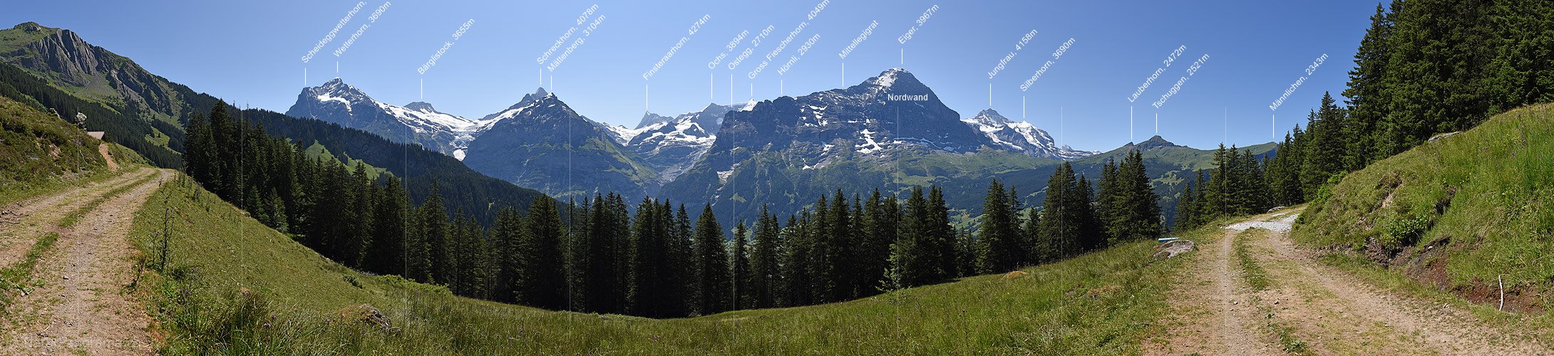 P016473: Panoramafoto Grindelwald