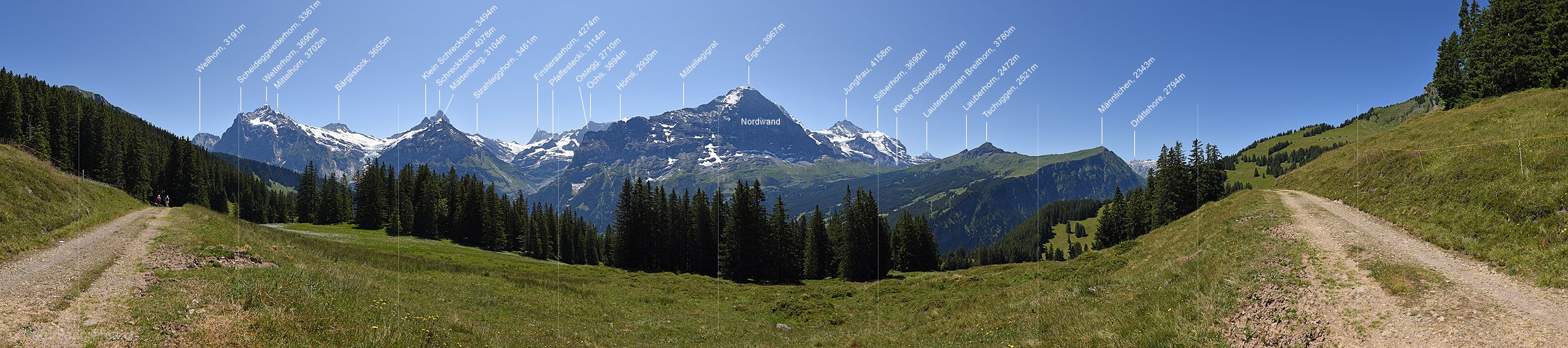 P016476: Panoramafoto Blick von oberhalb Grindelwald zu Eiger und Co.