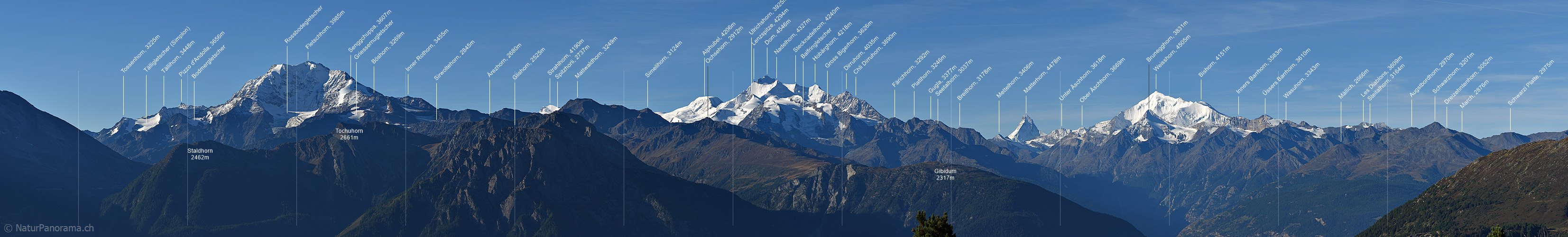 P016870a: Panoramafoto Walliser Alpen vom Riederhorn (Aletsch)