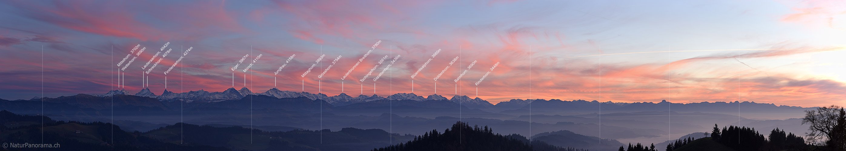 P016938: Panoramafoto Abendrot über den Berner Alpen
