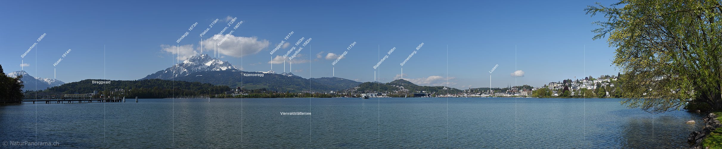 P017603: Panoramafoto Pilatus und Luzerner Seebecken