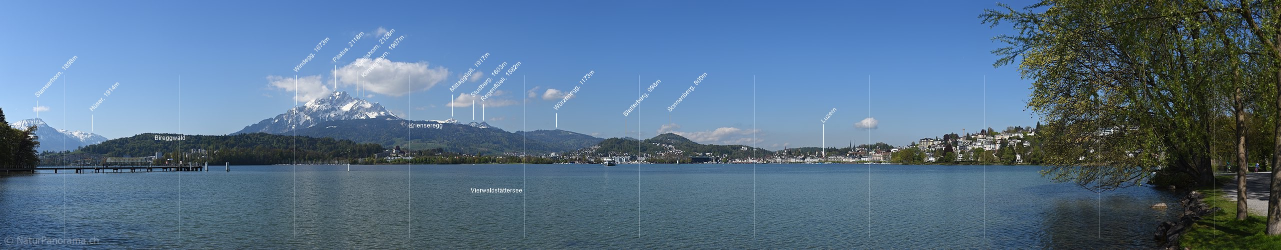 P017603a: Panoramafoto Pilatus und Luzerner Seebecken