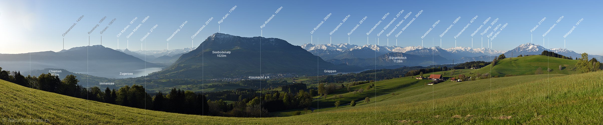 P017616: Panoramafoto Rigi und Zentralschweiz vom Rooterberg
