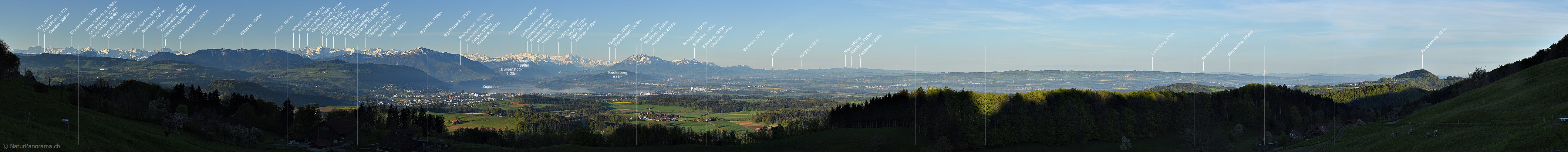 P017691: Alpenpanorama vom Albis (Zürich)