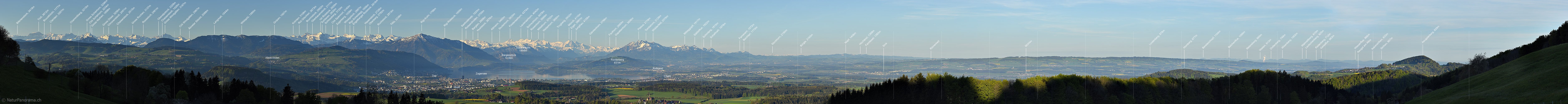 P017691a: Panoramafoto Zentralalpen, Zentralschweiz und Mittelland vom Albis