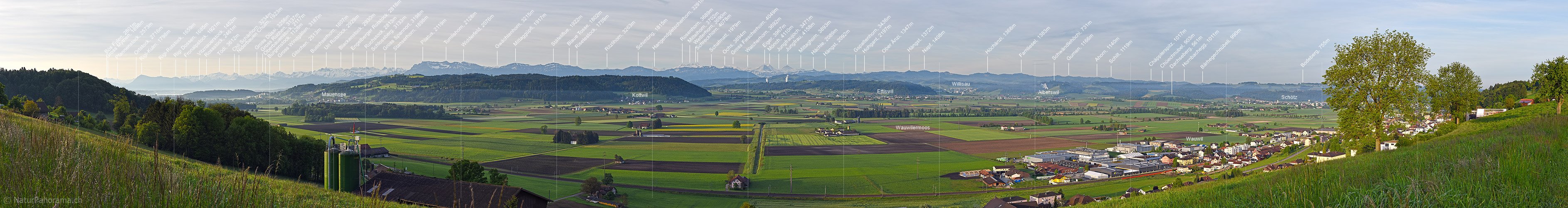P017801a: Panoramafoto Wauwilermoos und Alpen