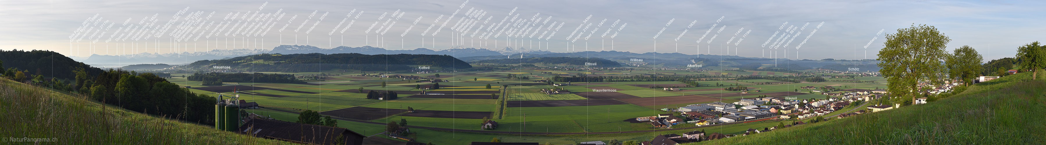 P017801c: Panorama photo Wauwilermoos and Alps