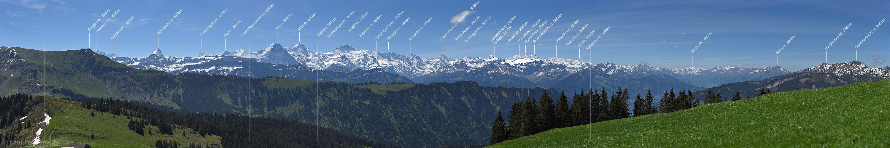 P017954: Grosses Panoramafoto der Berner Alpen