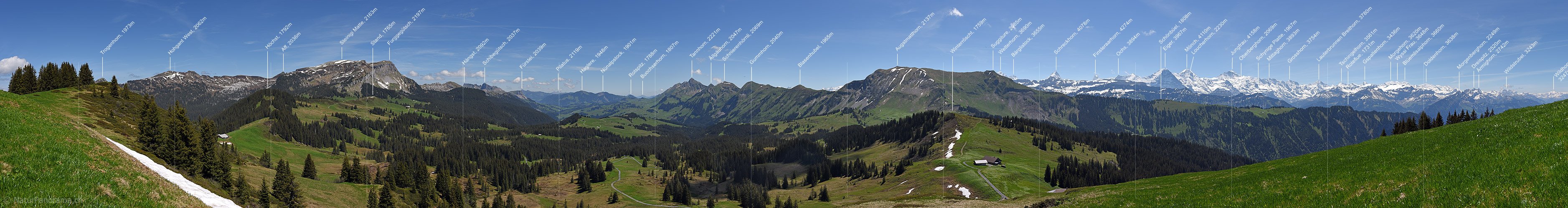 P017957: Gipfelpanorama Bolberg (Berner Voralpen)