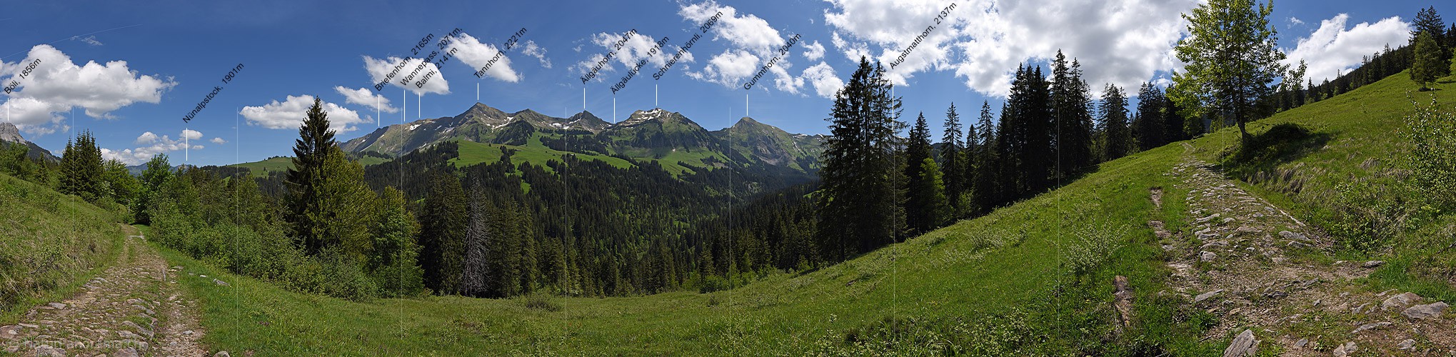 P017962: Panoramafoto Freundlicher Wolkenhimmel über den Berner Voralpen