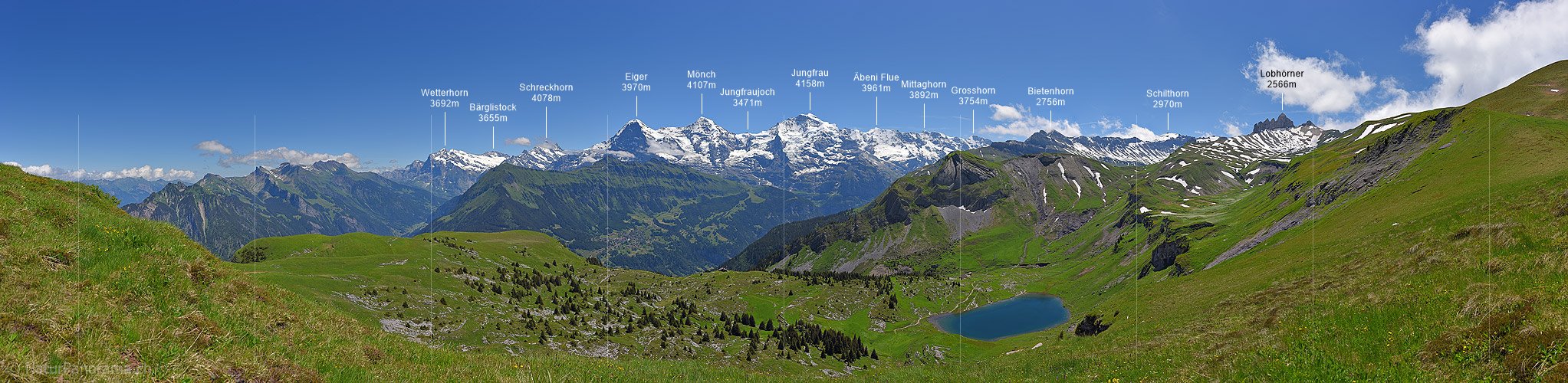 P018067: Panoramic photo Green mountain landscape with Eiger, Mönch and Jungfrau