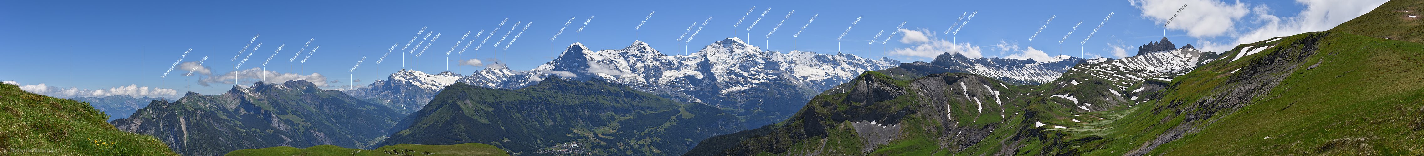 P018067e: Panoramafoto Kette der Berner Alpen im Sommer