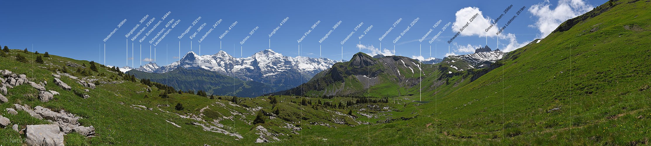 P018068: Panoramafoto Eiger, Mönch und Jungfrau aus der Region Lobhornhütte