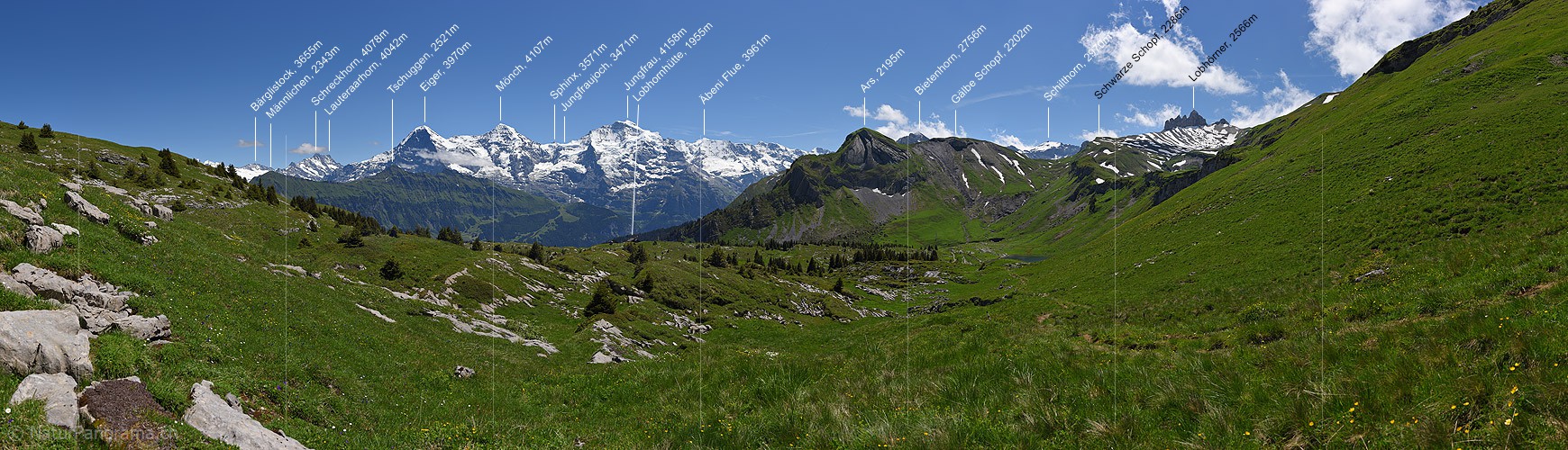 P018069: Larga panorama Green mountain landscape with Eiger, Mönch and Jungfrau