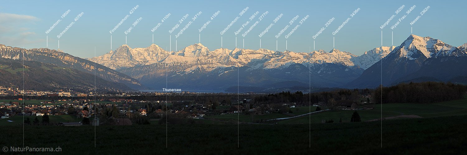 P019413: Panoramafoto Berner Alpen vom Aaretal