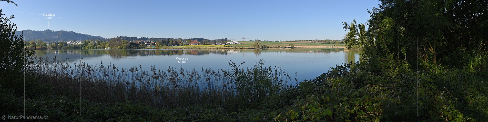 P019650: Panoramafoto Spiegelung im Moossee