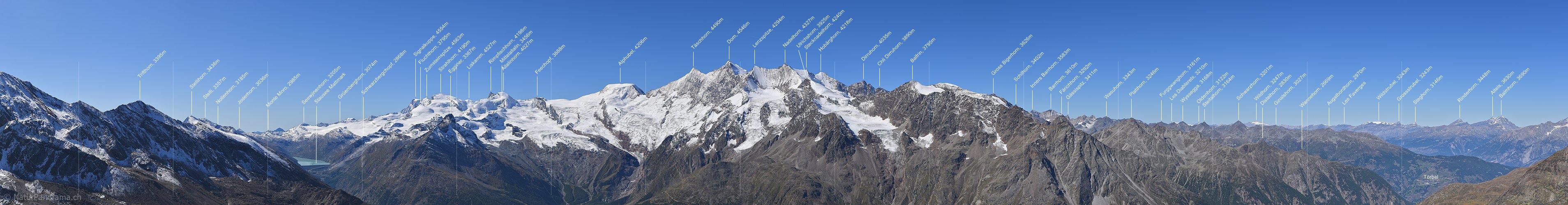 P023677a: Panoramafoto Mischabelgruppe vom Jegihorn