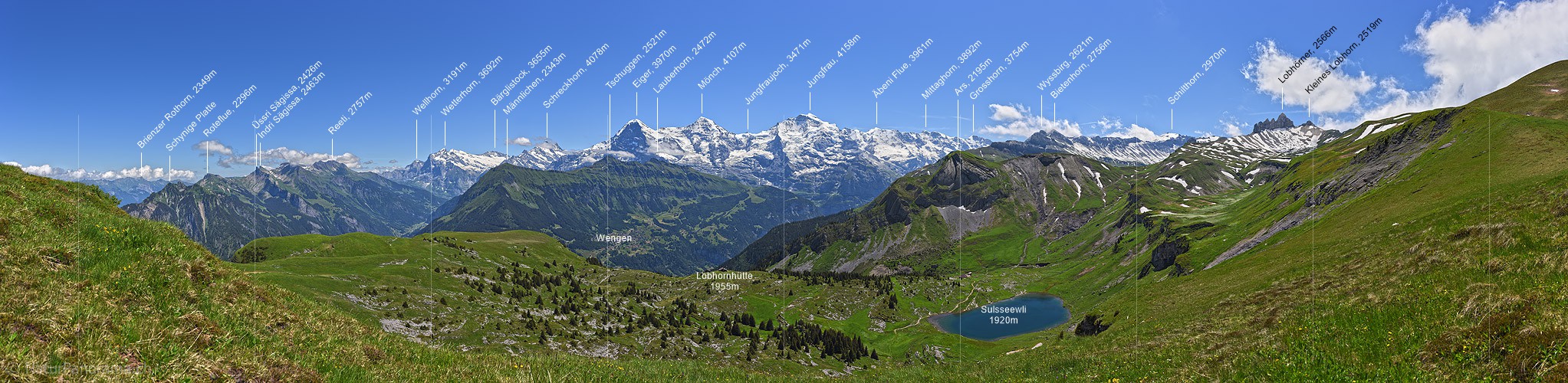 P018067a: Panorama Grüne Berglandschaft mit Eiger, Mönch und Jungfrau