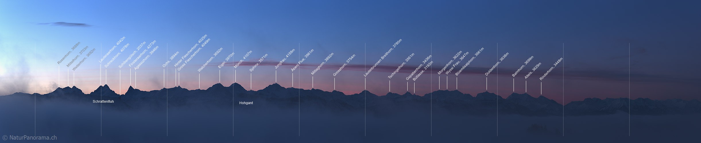 P020765: Panoramafoto Berner Alpen mit Morgenrot und Nebelmeer