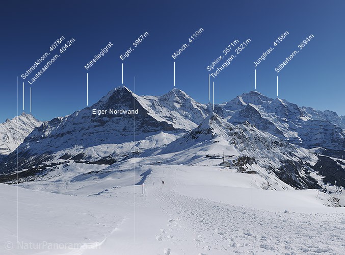 P015754a: Panoramafoto Eiger, Mönch und Jungfrau im Winter