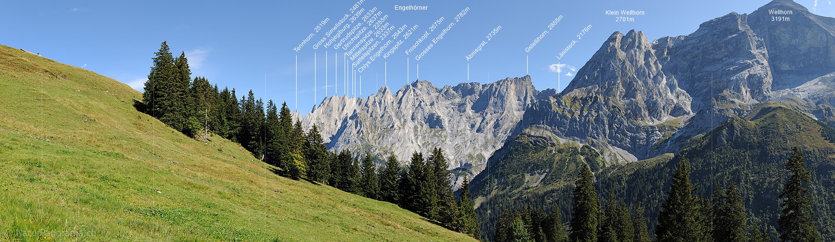 P008518: Panoramafoto Engelhörner von Westen
