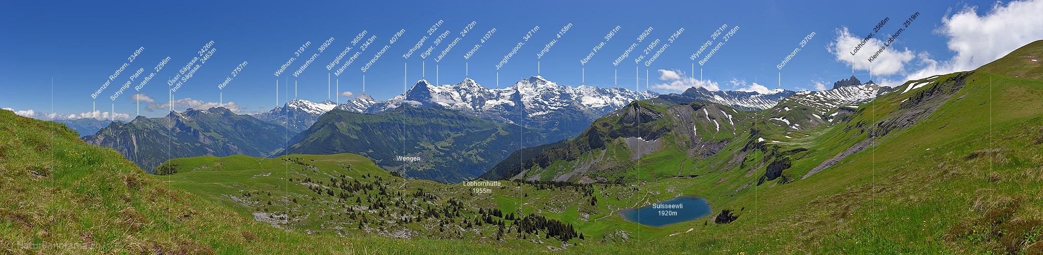 P018067: Panoramafoto Grüne Berglandschaft mit Eiger, Mönch und Jungfrau