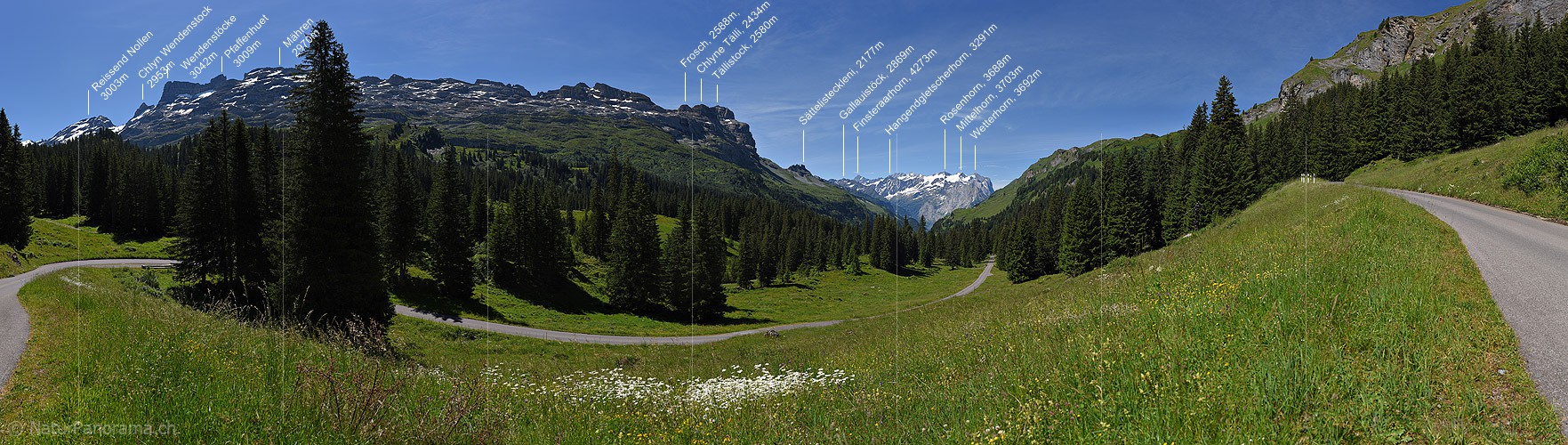 P020011: Panoramafoto Grünes, teilweise bewaldetes Bergtal in den Alpen