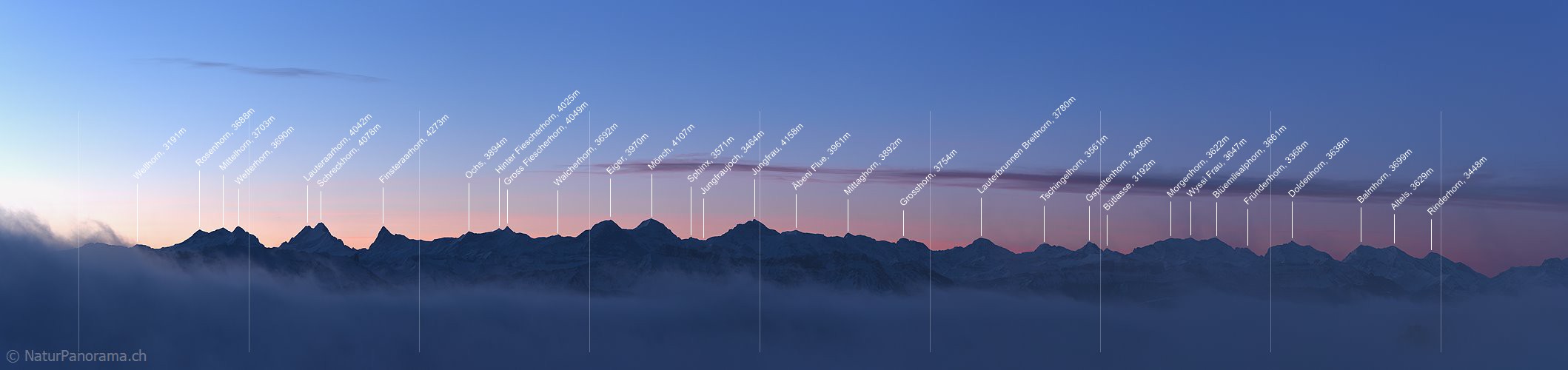 P020764: Panoramafoto Morgenstimmung mit Berner Alpen und Nebelmeer