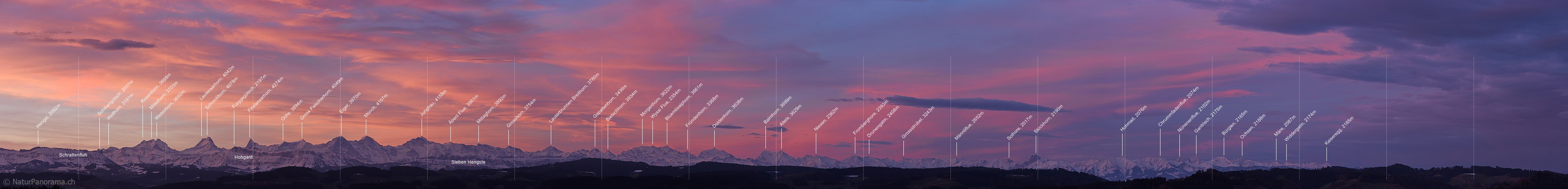 P017545a: Panoramafoto Morgenstimmung/Föhnstimmung über den Berner Alpen