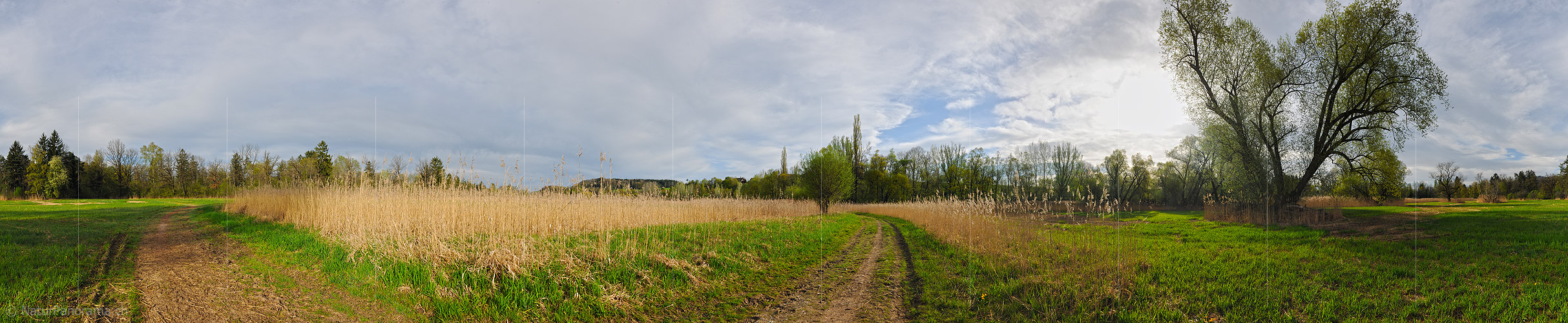 P009522: 360° Panoramafoto einer Riedlandschaft
