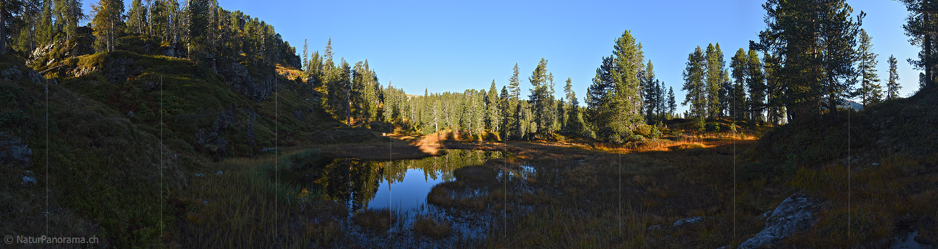 P022512: Gigapixel-Panoramafoto Kleiner Moorsee in Waldlandschaft