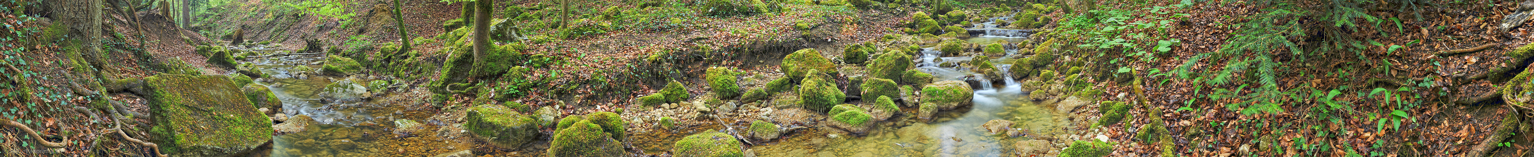 P014432c: Langes Panoramafoto Bach im Frühlingswald (Langzeitbelichtung)