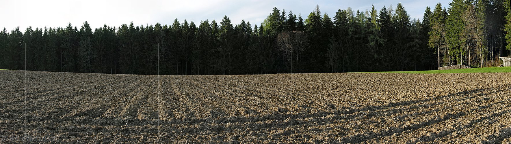 P000131: Panorama Gepflügter Acker