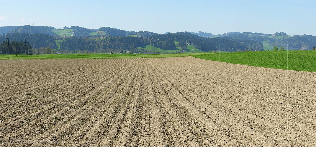 P000134: Panoramabild Bestellter Acker im Emmental