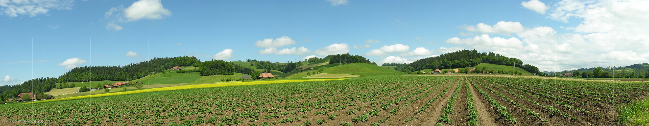 P000164: Panoramafoto Emmentaler Landschaft bei Lützelflüh