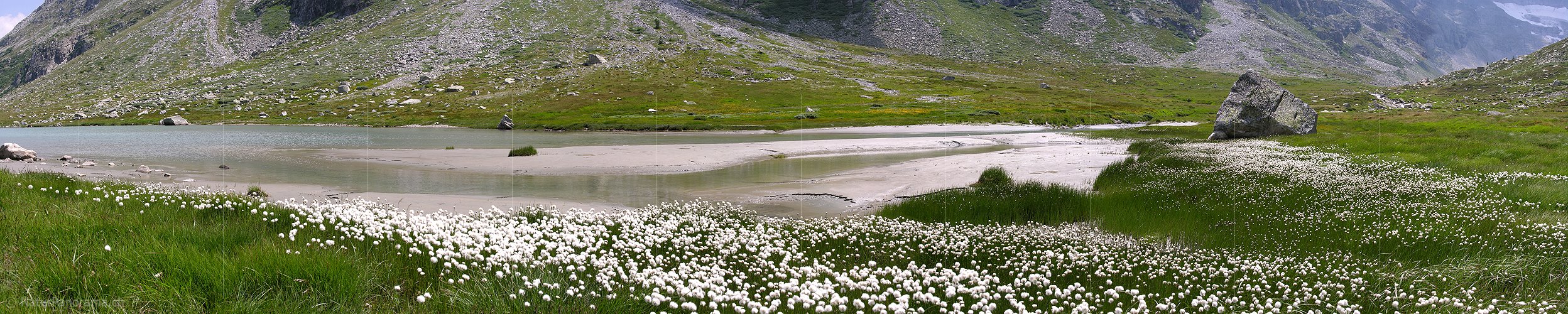 P000305: Panorama Chummibort, Binntal