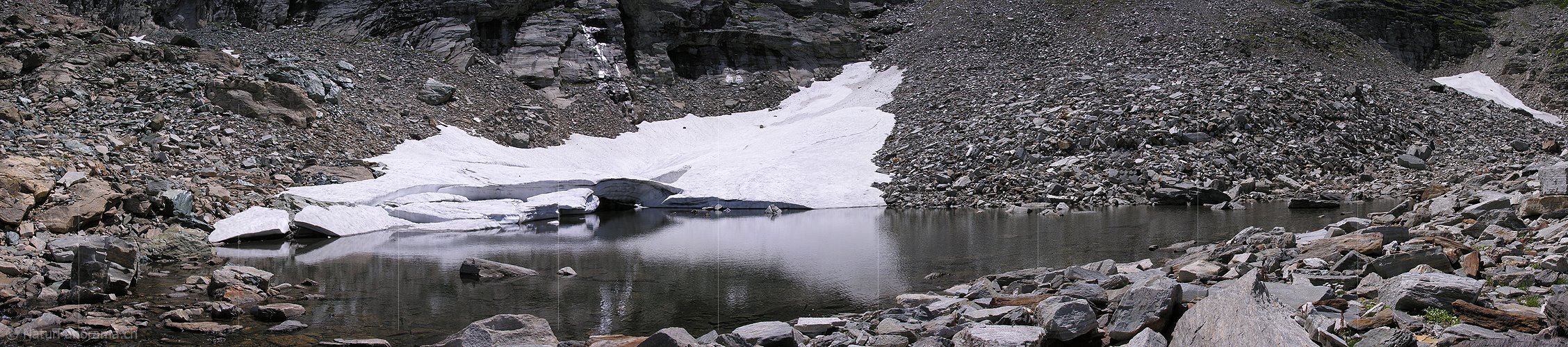 P000367: Panorama Fleschsee IV