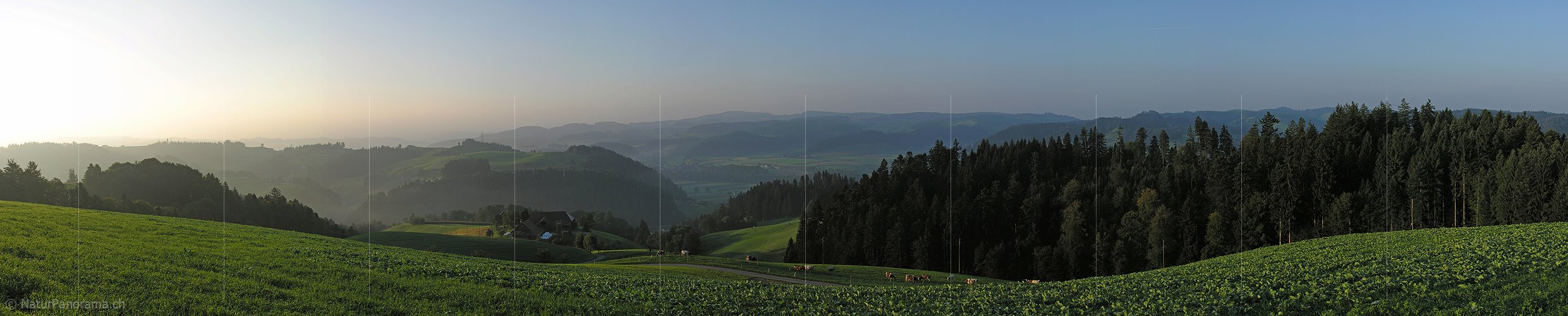 P000446: Panoramafoto Morgenstimmung über dem Emmental