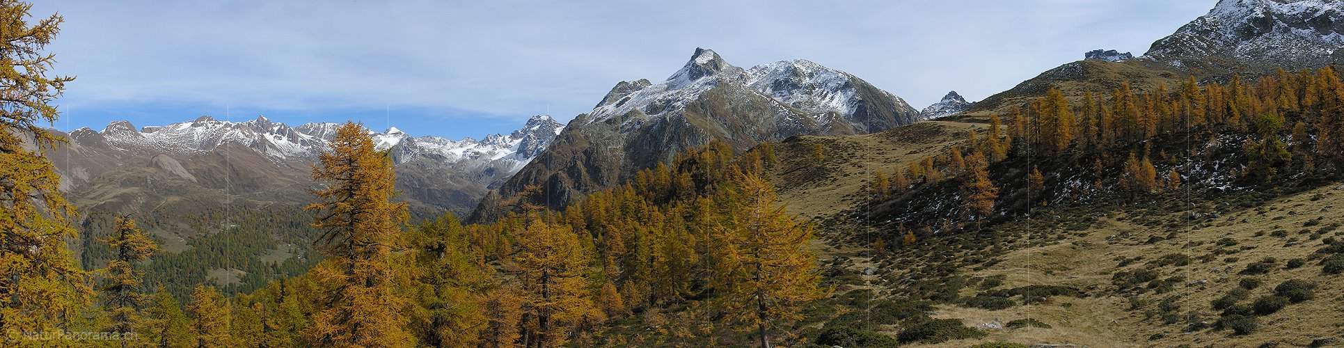 P000538: Panoramabild Herbst