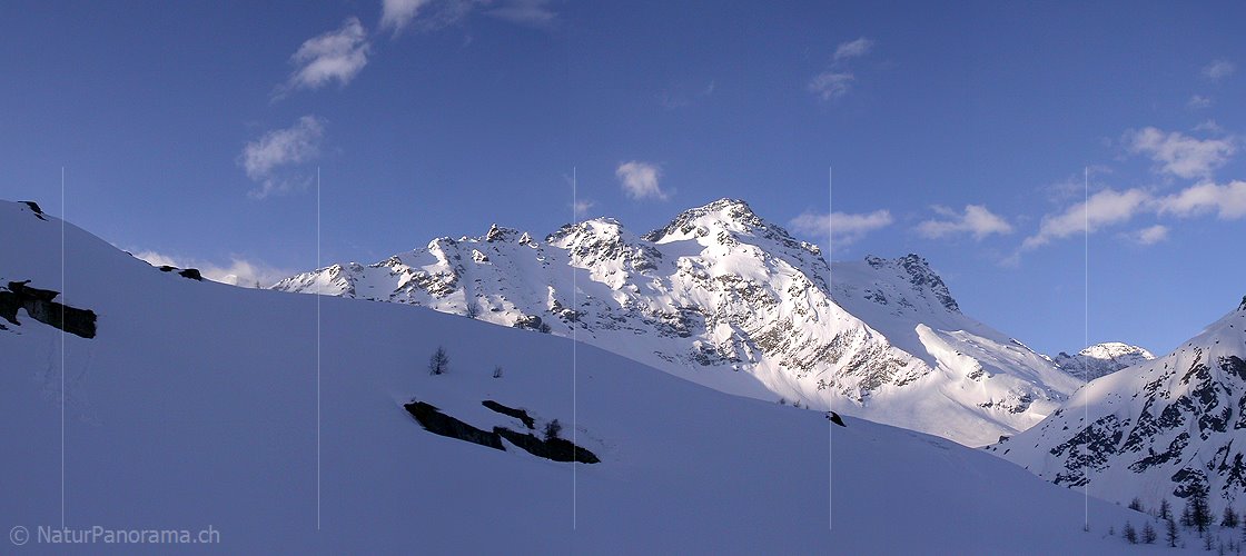 P000771: Panoramafoto Schwarzhorn, Binntal, Wallis