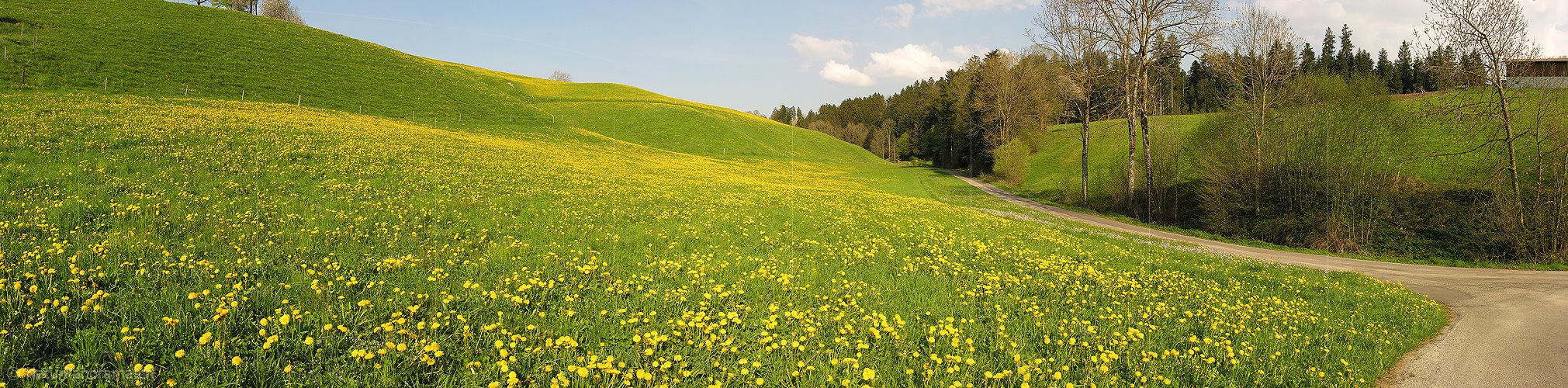 P000978: Panoramafoto Rüegsbach, Emmental