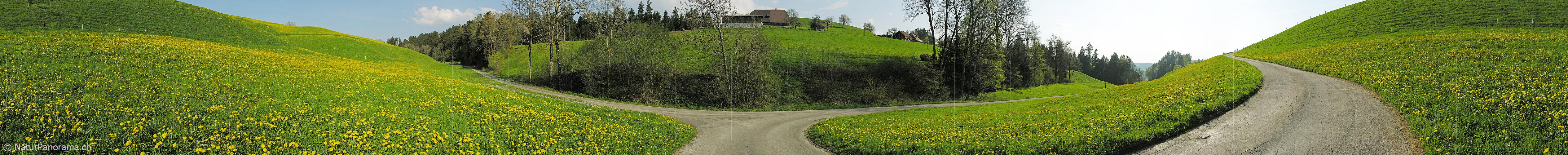 P000981: Panoramafoto Rüegsbach, Emmental