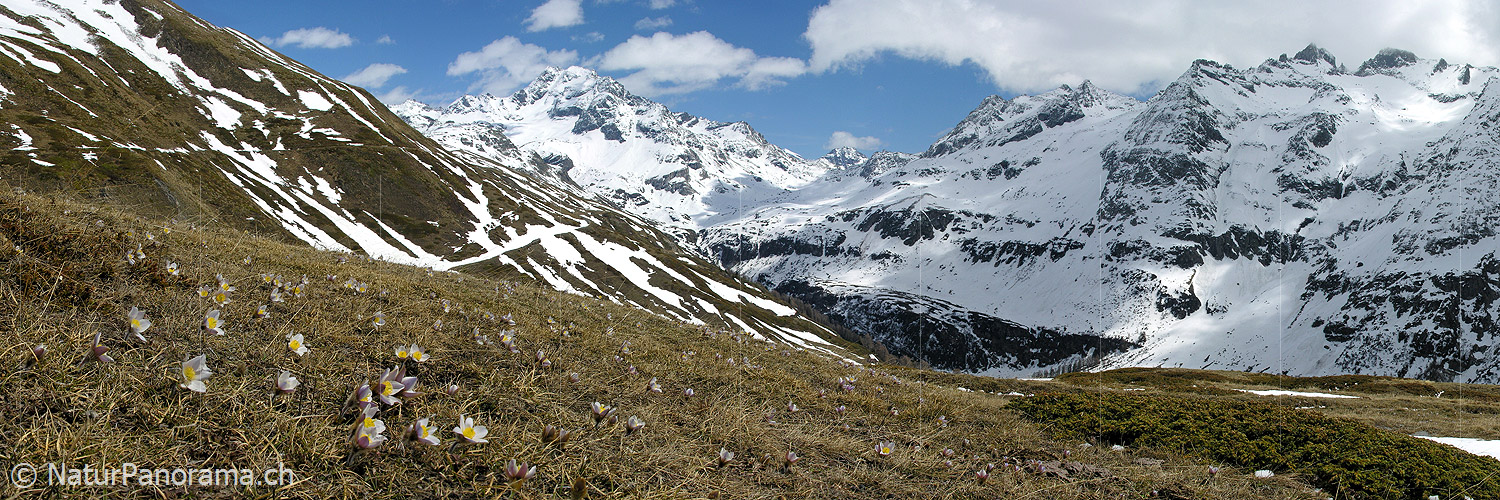 P000999: Panoramafoto Ofenhorn