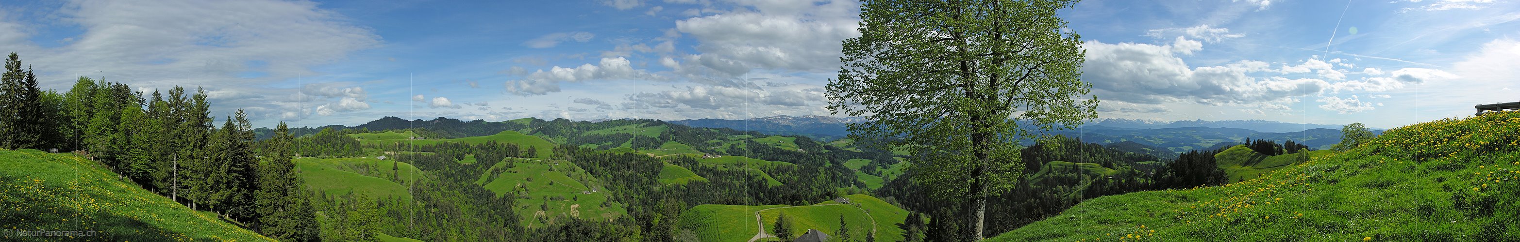 P001021: Panorama Emmental