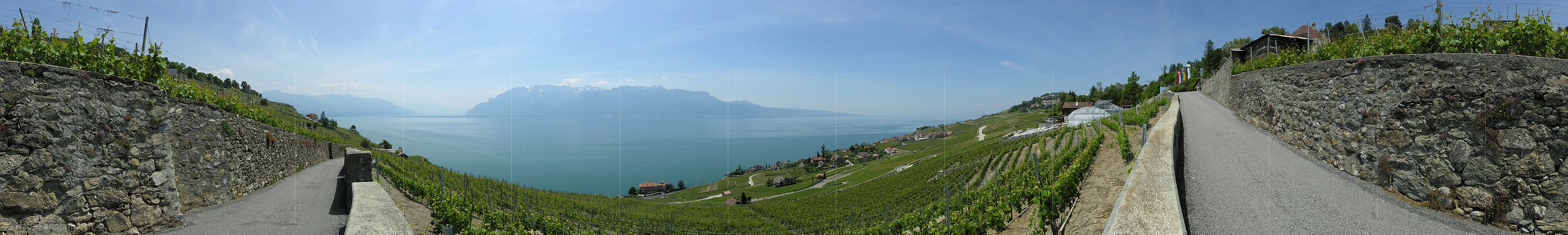 P001090: Panorama Rebberge am Genfersee